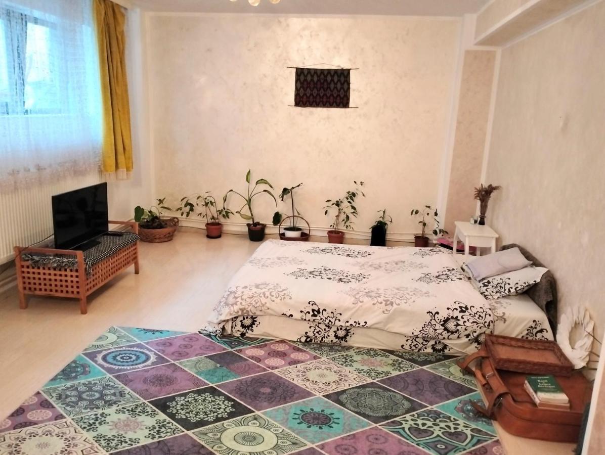Royal Awoun Home 布加勒斯特 外观 照片